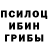 Псилоцибиновые грибы MAGIC MUSHROOMS Giuliana R