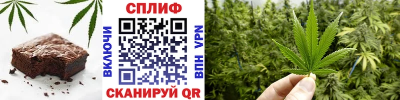 как найти   Мещовск  Canna-Cookies марихуана 