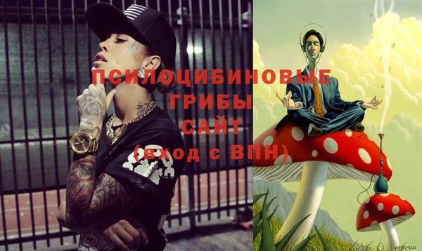 молекула духа Алексеевка