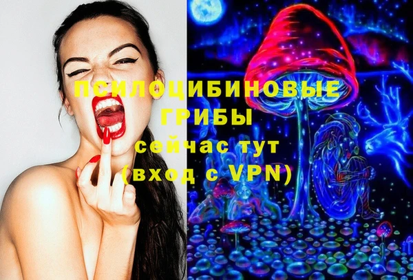 спиды Алзамай