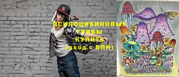 спиды Алзамай