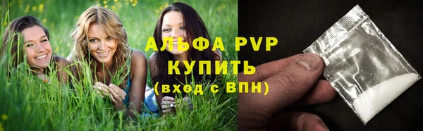спиды Алзамай